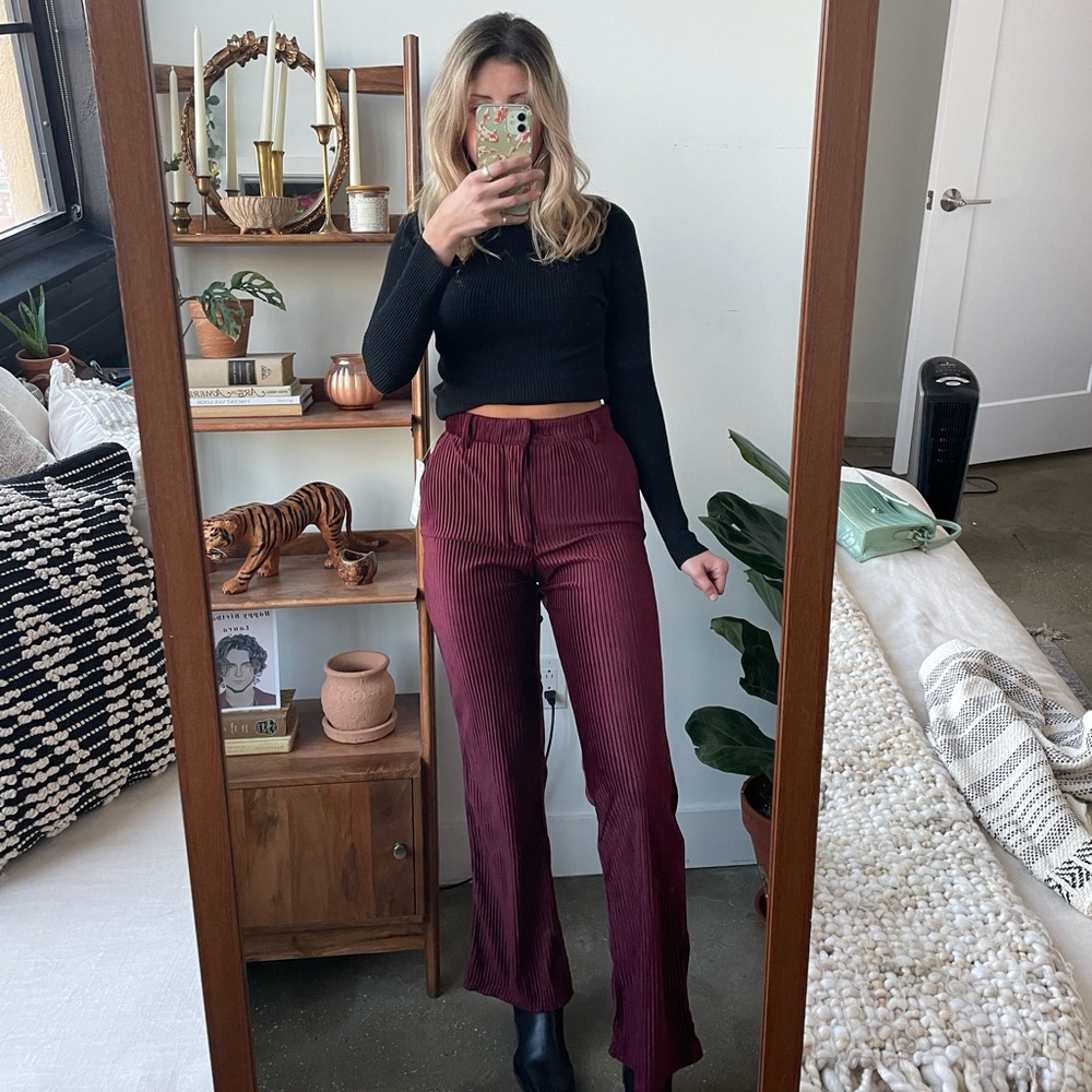 NWT Urban Outfitters Velvet Pants